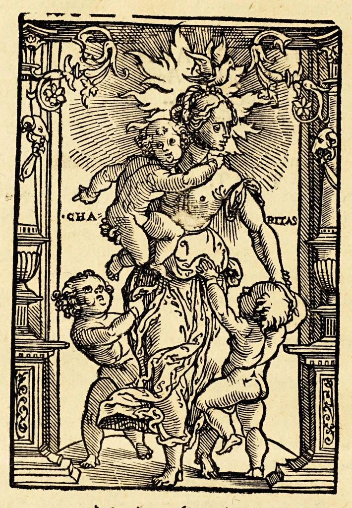An illustration from De principiis astronomiae [&] cosmographiae, deq[ue] vsu globi ab eodem editi. Item de orbis diuisione, [&] insulis, rebusq[ue] nuper inuentis., 1530, leaf 88