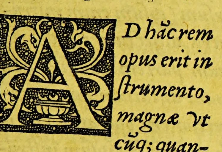 An illustration from De principiis astronomiae et cosmographiae: deque vsu globi ab eode[m] editi. Item de orbis diuisione, [&] insulis, rebúsq[ue]; nuper inue[n]tis. : Eiusdem libellus de locorum describendorum ratione. Et de eorum distantiis inueniendis, nunquam antehac visus., 1548, leaf 175