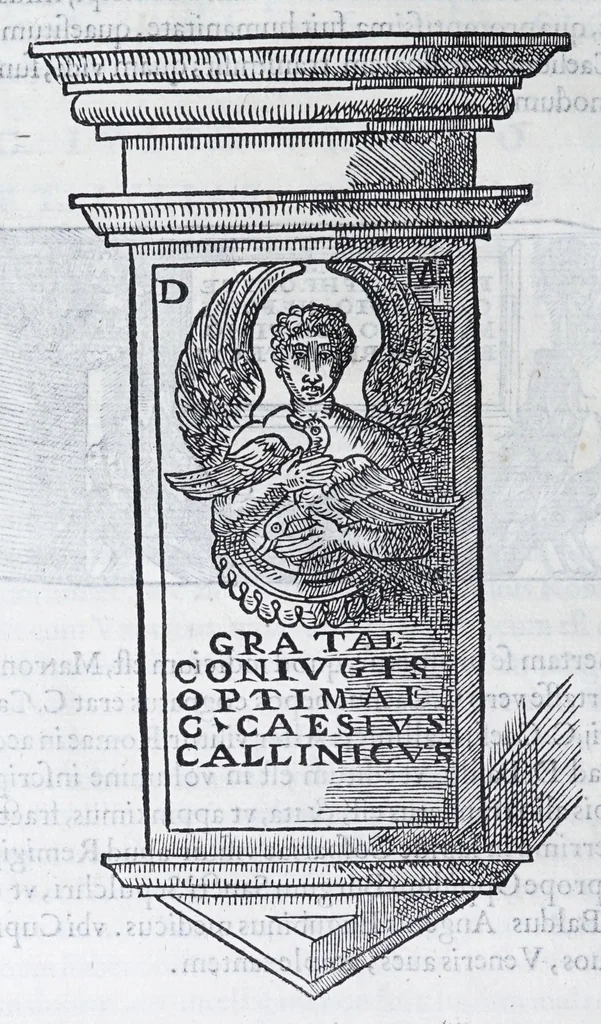 An illustration from De prisca Caesiorvm gente Io. Baptistae Fonteii primionis commentariorvm libri dvo : cvm Ivlii Iacobonii appendice, 1582, leaf 126