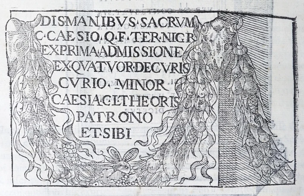 An illustration from De prisca Caesiorvm gente Io. Baptistae Fonteii primionis commentariorvm libri dvo : cvm Ivlii Iacobonii appendice, 1582, leaf 176