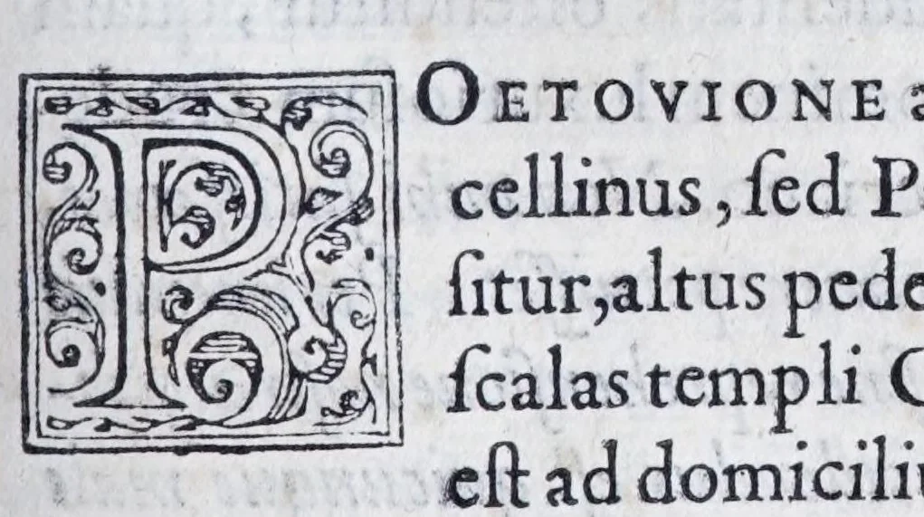 An illustration from De prisca Caesiorvm gente Io. Baptistae Fonteii primionis commentariorvm libri dvo : cvm Ivlii Iacobonii appendice, 1582, leaf 181