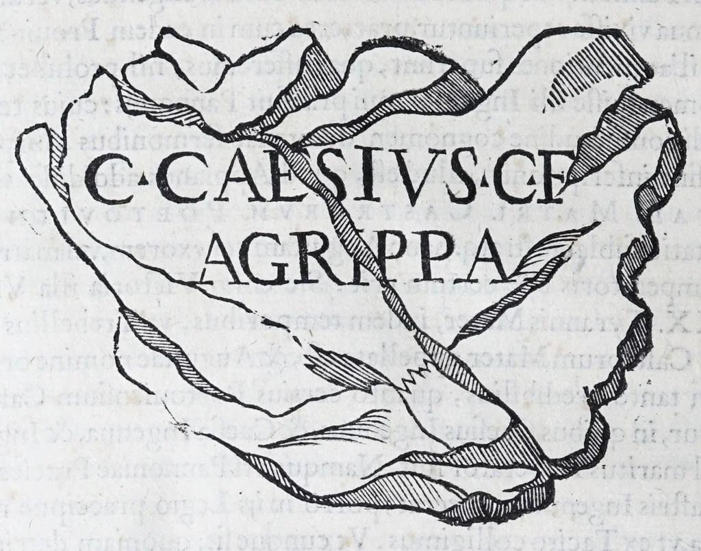 An illustration from De prisca Caesiorvm gente Io. Baptistae Fonteii primionis commentariorvm libri dvo : cvm Ivlii Iacobonii appendice, 1582, leaf 184