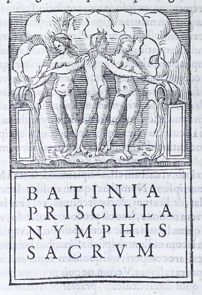 An illustration from De prisca Caesiorvm gente Io. Baptistae Fonteii primionis commentariorvm libri dvo : cvm Ivlii Iacobonii appendice, 1582, leaf 318