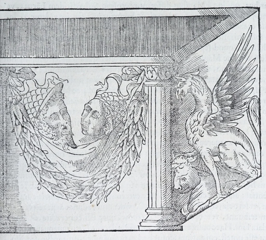 An illustration from De prisca Caesiorvm gente Io. Baptistae Fonteii primionis commentariorvm libri dvo : cvm Ivlii Iacobonii appendice, 1582, leaf 485