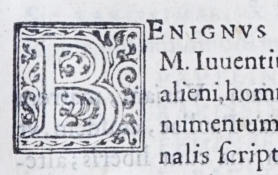 An illustration from De prisca Caesiorvm gente Io. Baptistae Fonteii primionis commentariorvm libri dvo : cvm Ivlii Iacobonii appendice, 1582, leaf 521