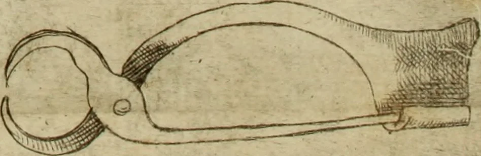 An illustration from De profanis, et sacris veteribvs ritibvs, 1665, leaf 244
