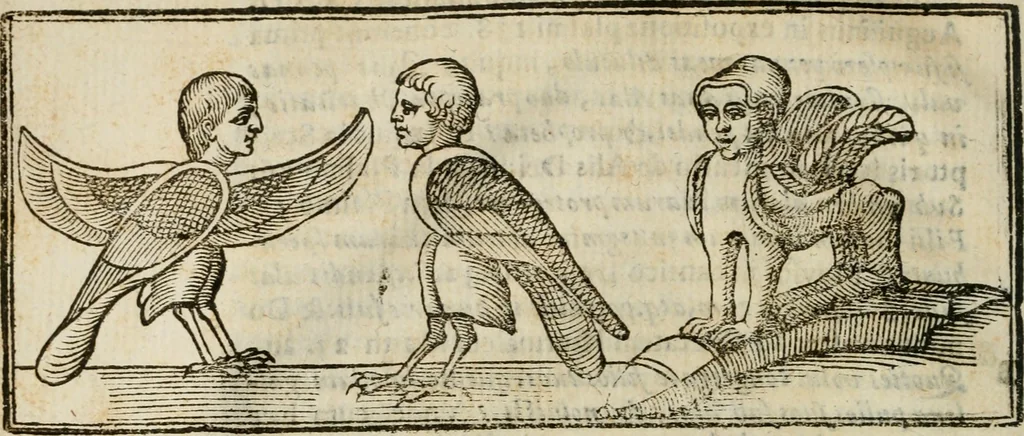 An illustration from De profanis, et sacris veteribvs ritibvs, 1665, leaf 65
