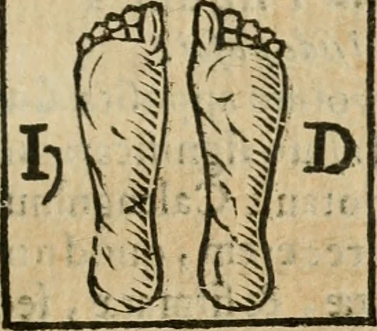 An illustration from De profanis, et sacris veteribvs ritibvs, 1665, leaf 88