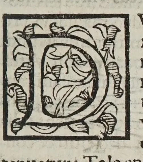 An illustration from De radiis visvs et lvcis in vitris perspectivis et iride tractatus, 1611, leaf 37