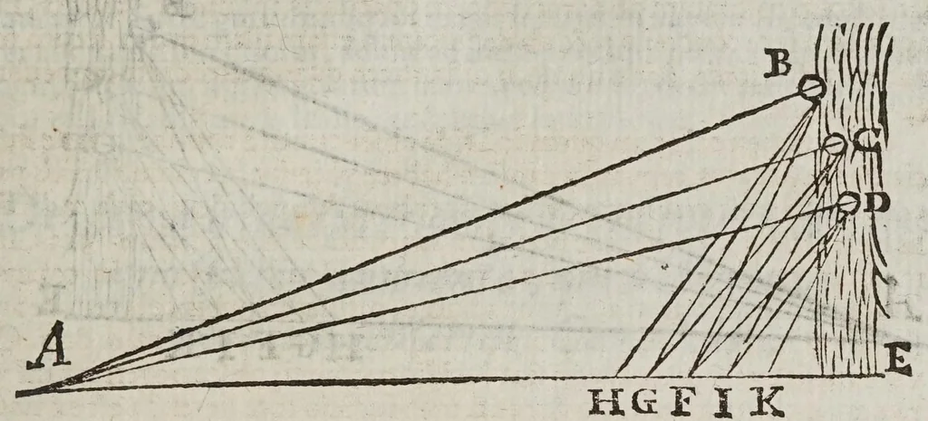 An illustration from De radiis visvs et lvcis in vitris perspectivis et iride tractatus, 1611, leaf 75