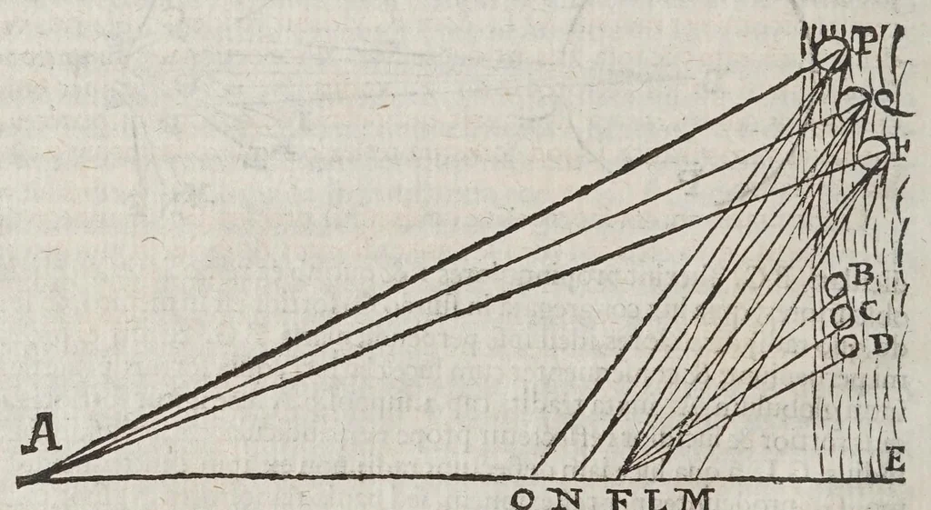 An illustration from De radiis visvs et lvcis in vitris perspectivis et iride tractatus, 1611, leaf 82