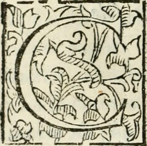 An illustration from De' ragguagli di Parnaso .., 1612, leaf 145