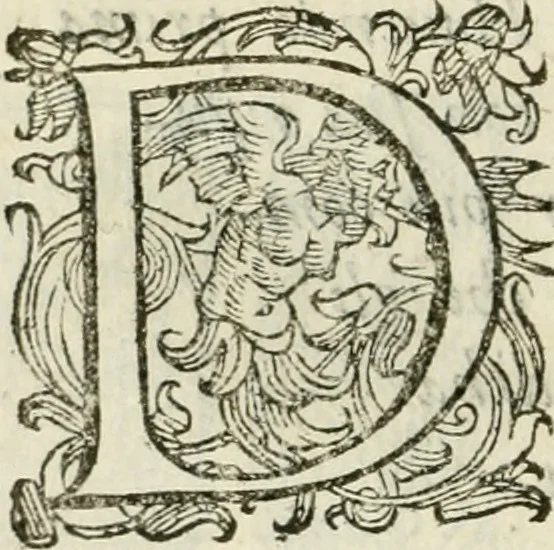 An illustration from De' ragguagli di Parnaso .., 1612, leaf 205
