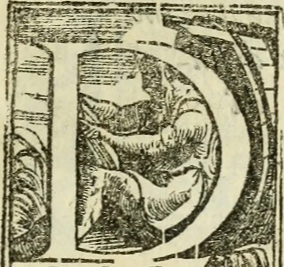 An illustration from De' ragguagli di Parnaso .., 1612, leaf 216