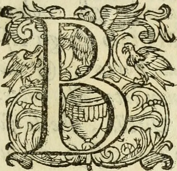 An illustration from De' ragguagli di Parnaso .., 1612, leaf 222