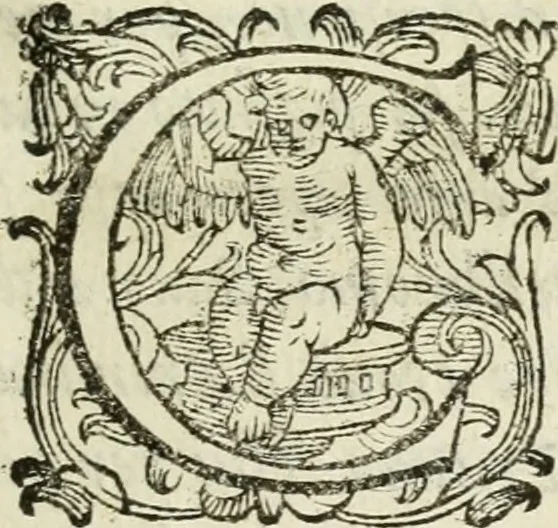 An illustration from De' ragguagli di Parnaso .., 1612, leaf 248