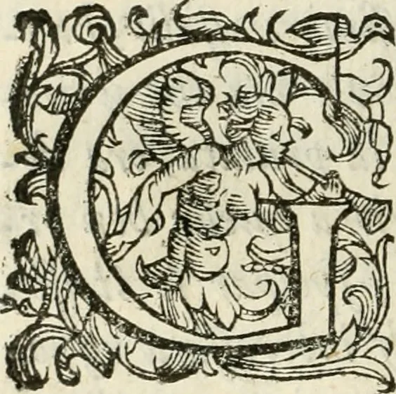 An illustration from De' ragguagli di Parnaso .., 1612, leaf 301