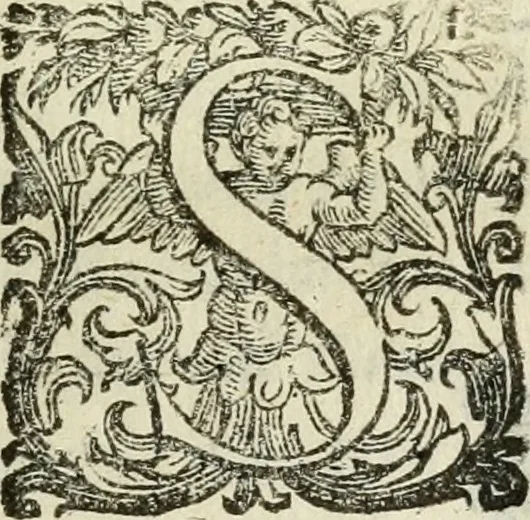 An illustration from De' ragguagli di Parnaso .., 1612, leaf 312