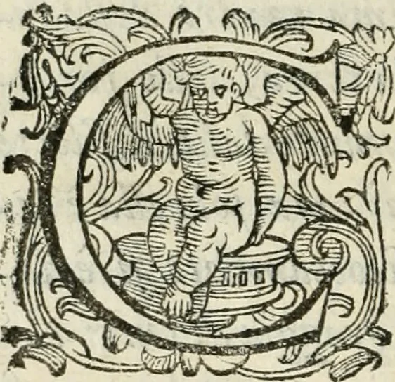 An illustration from De' ragguagli di Parnaso .., 1612, leaf 319