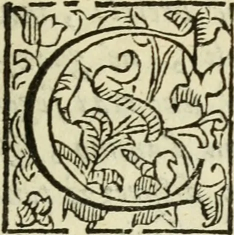 An illustration from De' ragguagli di Parnaso .., 1612, leaf 406