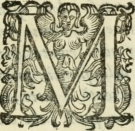 An illustration from De' ragguagli di Parnaso .., 1612, leaf 492