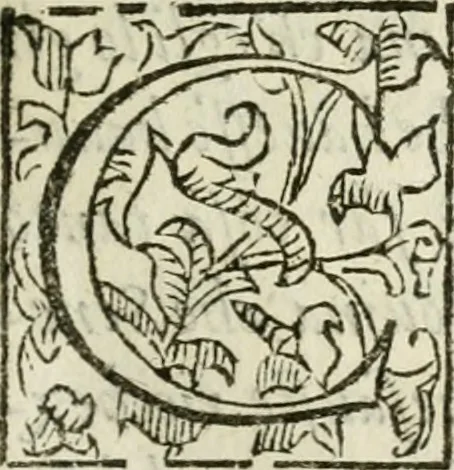 An illustration from De' ragguagli di Parnaso .., 1612, leaf 78