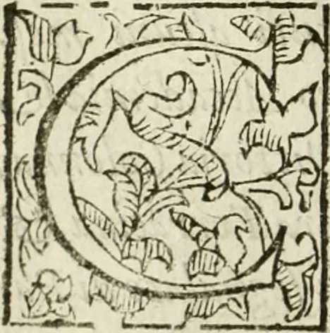 An illustration from De' ragguagli di Parnaso .., 1612, leaf 97