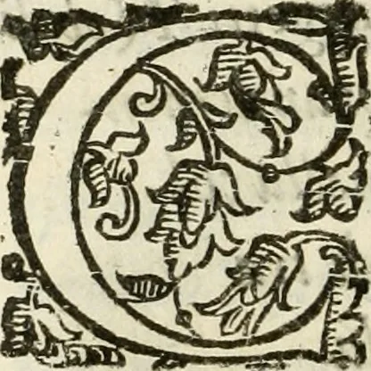 An illustration from De' ragguagli di Parnaso .., 1612, leaf 1005