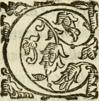 An illustration from De' ragguagli di Parnaso .., 1612, leaf 1008
