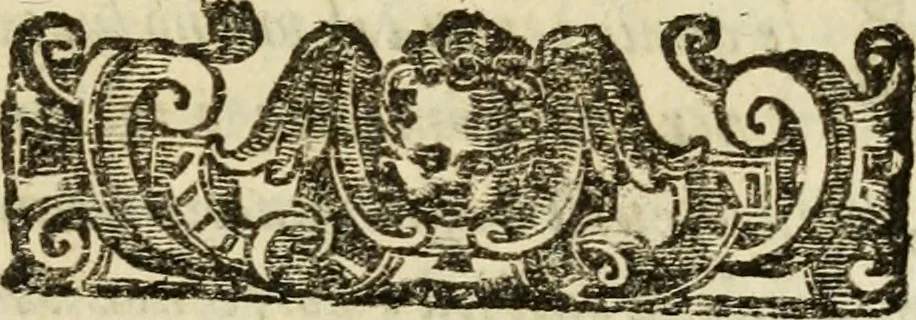 An illustration from De' ragguagli di Parnaso .., 1612, leaf 1088