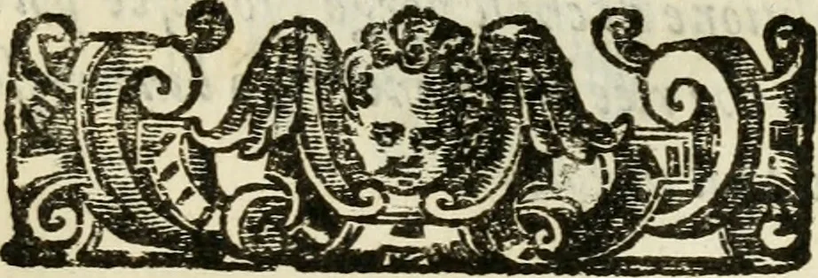 An illustration from De' ragguagli di Parnaso .., 1612, leaf 1108