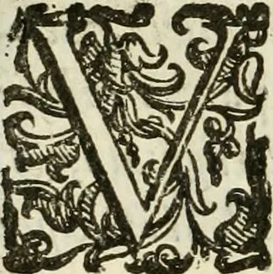 An illustration from De' ragguagli di Parnaso .., 1612, leaf 1111