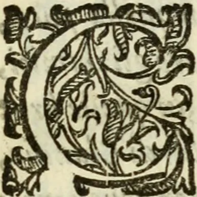 An illustration from De' ragguagli di Parnaso .., 1612, leaf 1114