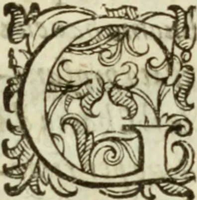 An illustration from De' ragguagli di Parnaso .., 1612, leaf 1202