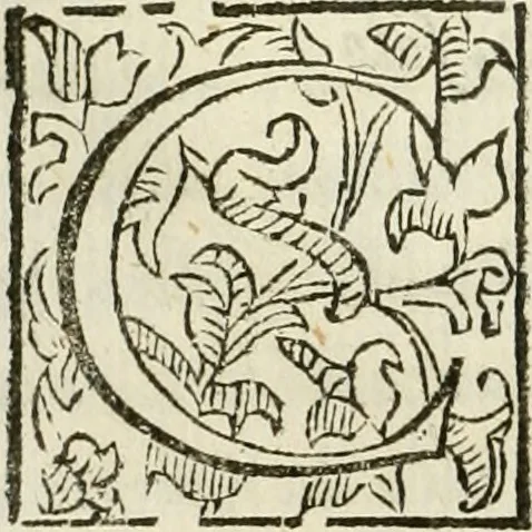 An illustration from De' ragguagli di Parnaso .., 1612, leaf 145