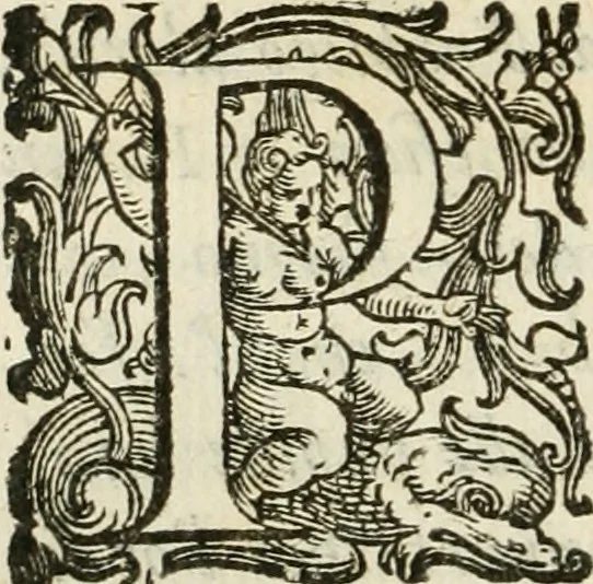 An illustration from De' ragguagli di Parnaso .., 1612, leaf 153