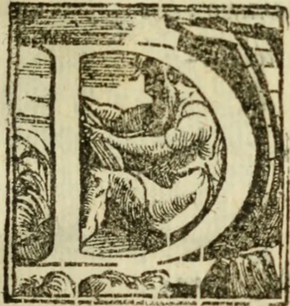 An illustration from De' ragguagli di Parnaso .., 1612, leaf 216