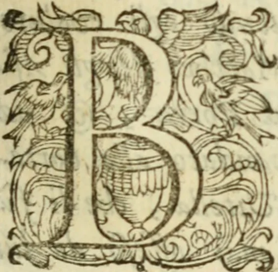 An illustration from De' ragguagli di Parnaso .., 1612, leaf 222