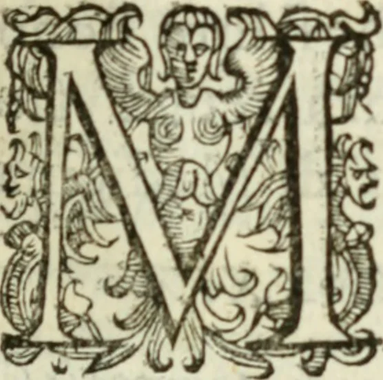 An illustration from De' ragguagli di Parnaso .., 1612, leaf 242