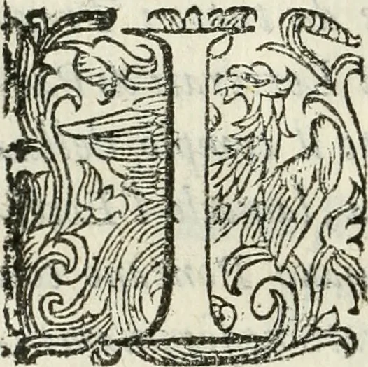 An illustration from De' ragguagli di Parnaso .., 1612, leaf 315