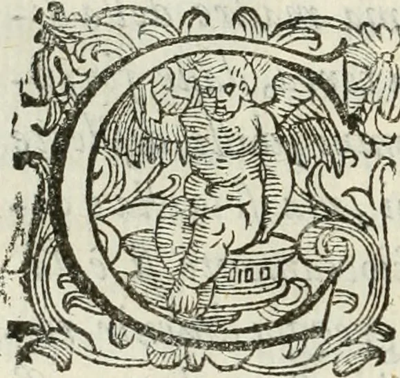 An illustration from De' ragguagli di Parnaso .., 1612, leaf 319