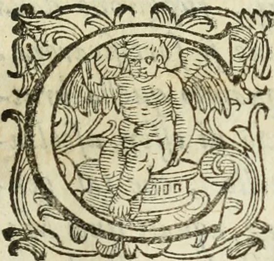 An illustration from De' ragguagli di Parnaso .., 1612, leaf 342