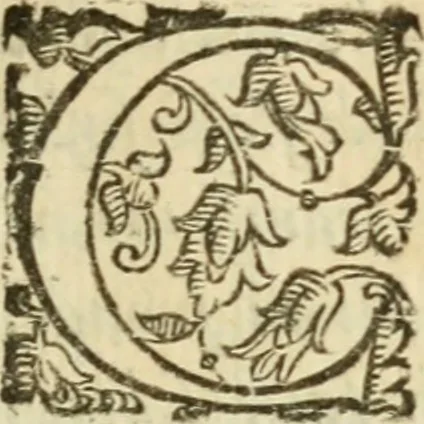 An illustration from De' ragguagli di Parnaso .., 1612, leaf 588