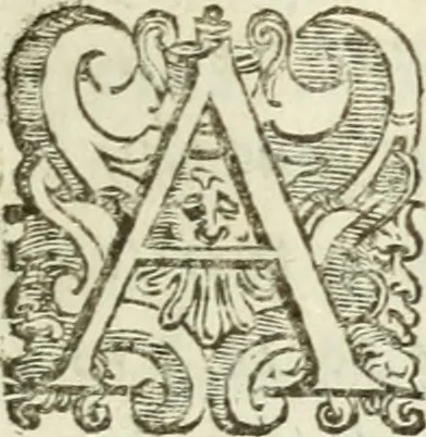 An illustration from De' ragguagli di Parnaso .., 1612, leaf 708