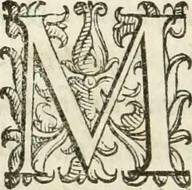 An illustration from De' ragguagli di Parnaso .., 1612, leaf 741