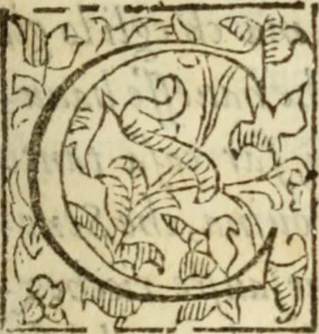 An illustration from De' ragguagli di Parnaso .., 1612, leaf 78
