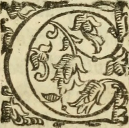 An illustration from De' ragguagli di Parnaso .., 1612, leaf 788