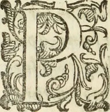 An illustration from De' ragguagli di Parnaso .., 1612, leaf 813