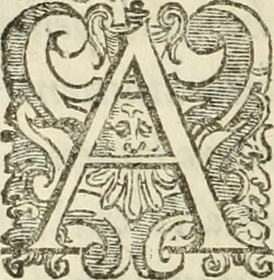 An illustration from De' ragguagli di Parnaso .., 1612, leaf 883
