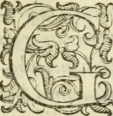 An illustration from De' ragguagli di Parnaso .., 1612, leaf 920